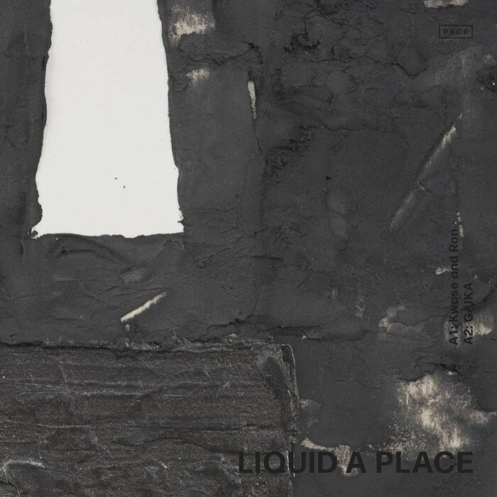 Ron Trent / Gaika – Liquid A Place [PACE001]